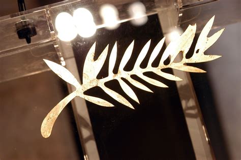 canal cannes remise des prix